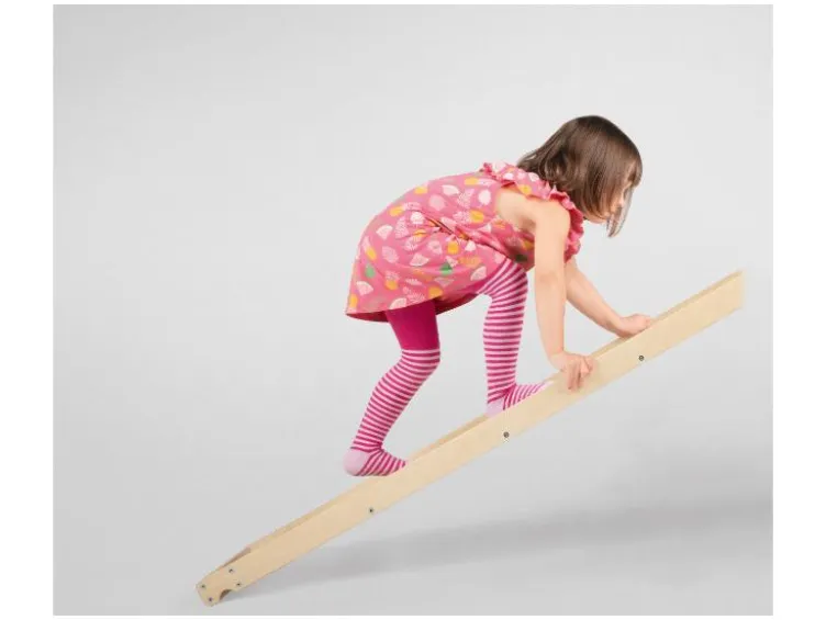 Kletterleiter und Rutsche, 2in1