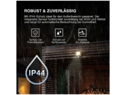 LED-Außenstrahler »Endura Flood Sensor«, mit Bewegungsmelder