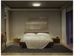 LED-Deckenleuchte »Orbis Dublin«