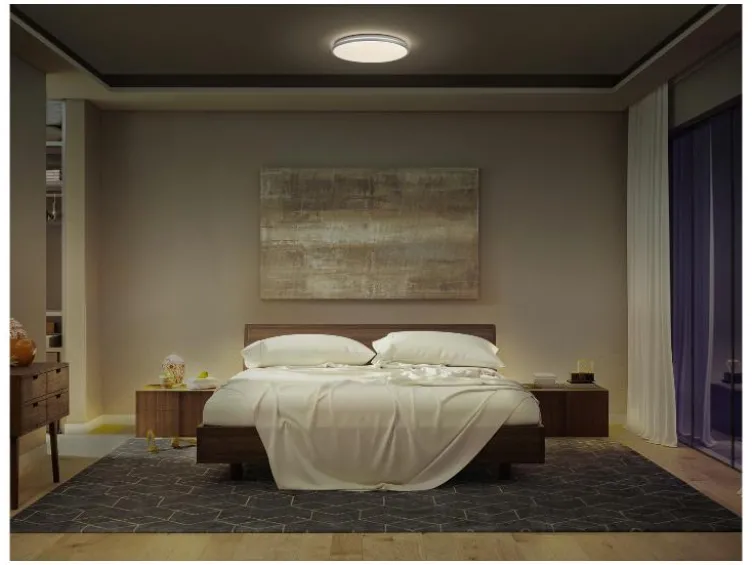 LED-Deckenleuchte »Orbis Dublin«