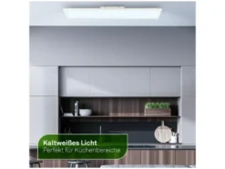 LED Decken-Panel, dimmbar, Farbtemperatursteuerung 1 x 0,25m