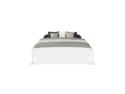 Mare Bett
