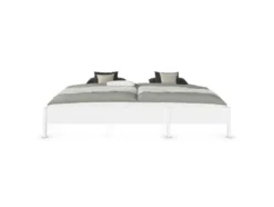 Mare Bett