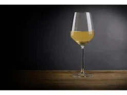 Margarita-/ Champagner-/ Cocktail-/Gin Tonic-/ Weingläser