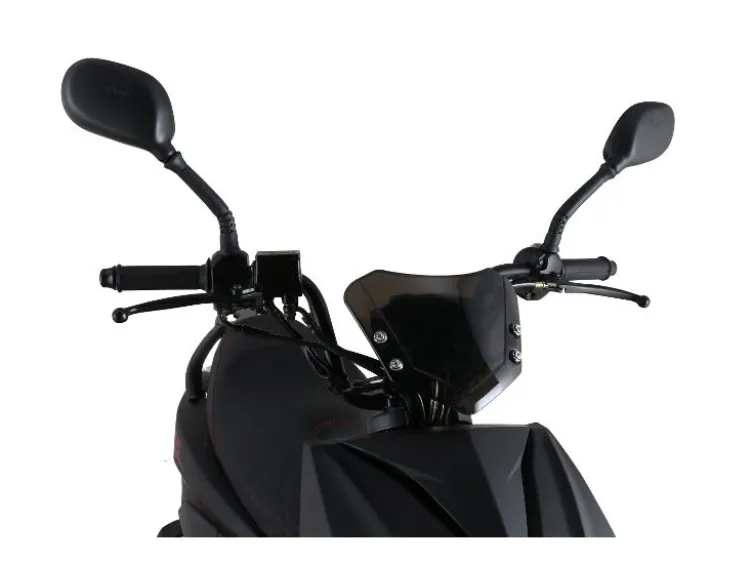 Motorroller »Speedstar FI« 50 ccm, 25 km/h / 45 km/h, EURO 5