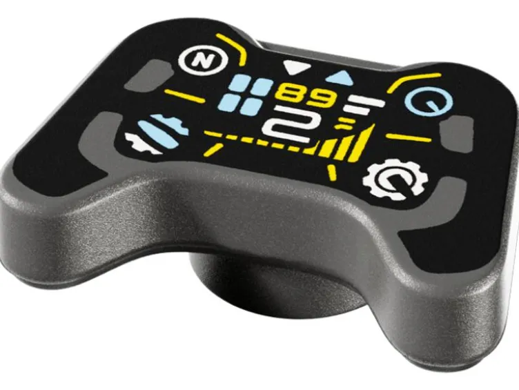 77243 Oracle Red Bull Racing RB20 F1® Rennauto