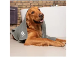 Pet Pro Komplettset, Besen, Bürste & Handtuch