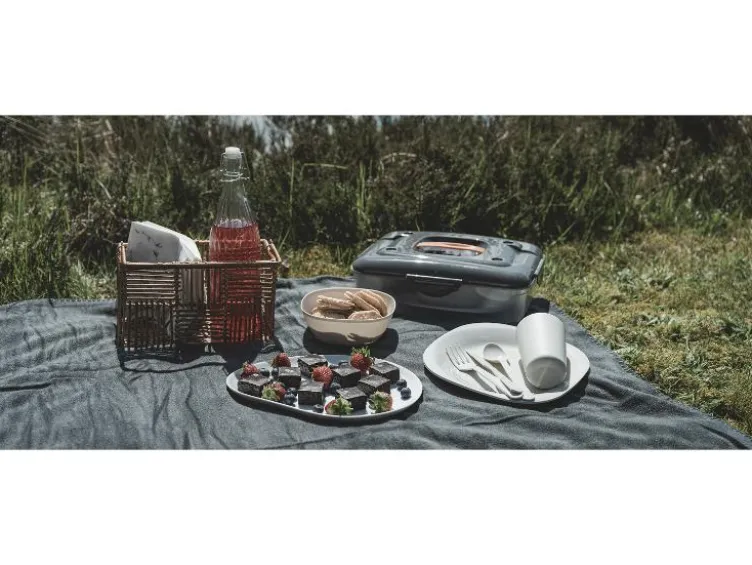 Picnic Box