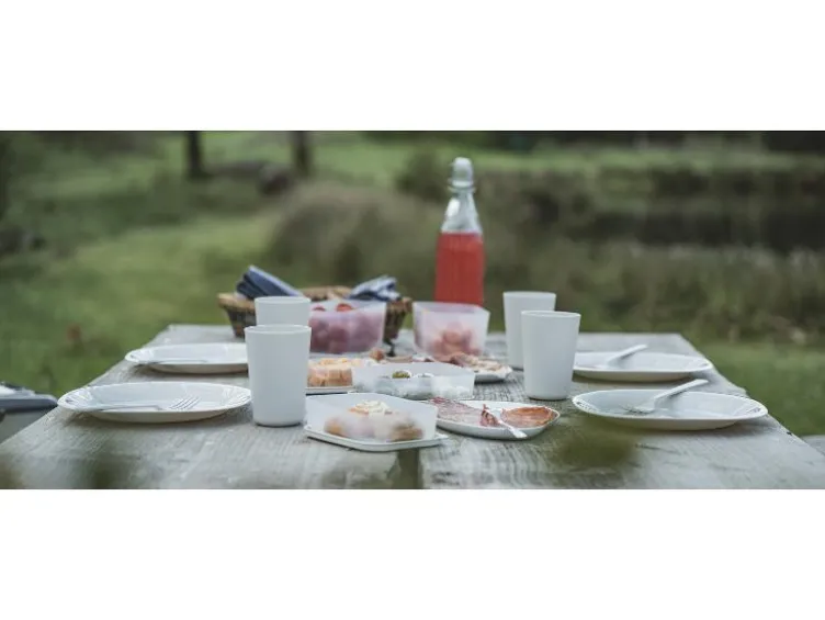 Picnic Box