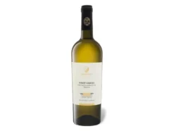 Pinot Grigio Puglia IGP trocken koscher, Weißwein 2025
