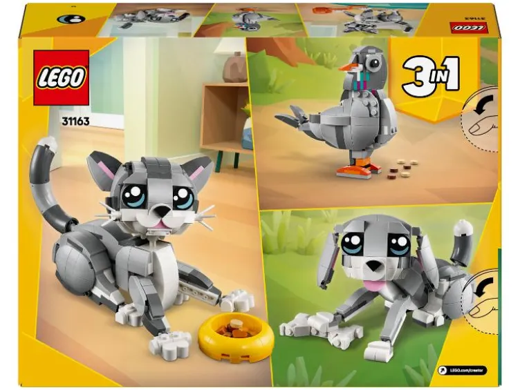 31163 Playful Cat