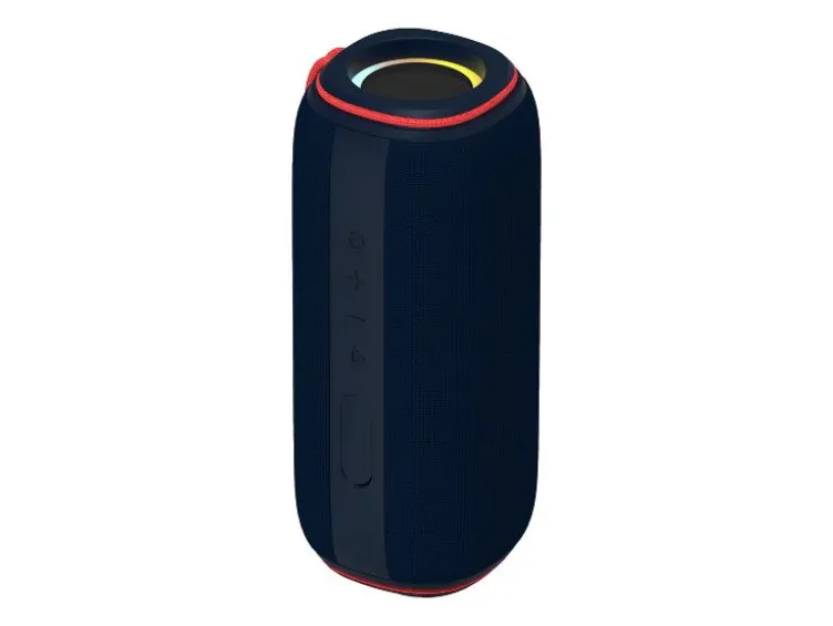 Portabler Lautsprecher »RB-SK420«, mit Multicolor LED-Licht