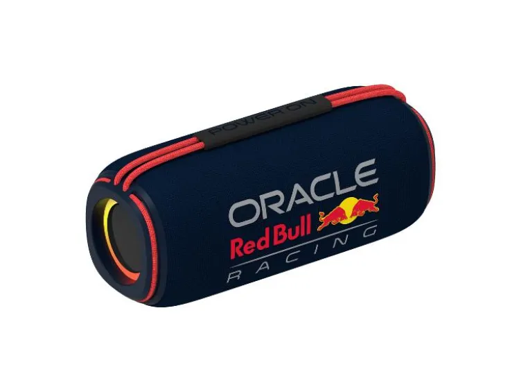 Portabler Lautsprecher »RB-SK420«, mit Multicolor LED-Licht