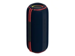 Portabler Lautsprecher »RB-SK420«, mit Multicolor LED-Licht