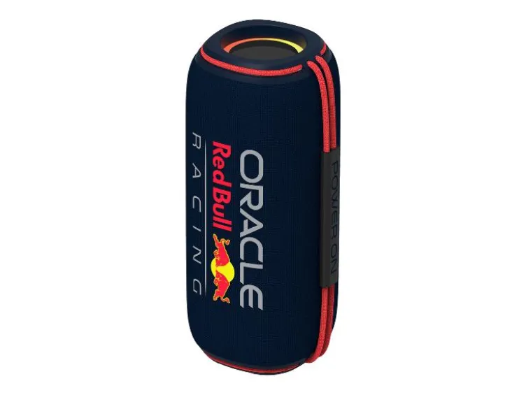 Portabler Lautsprecher »RB-SK420«, mit Multicolor LED-Licht