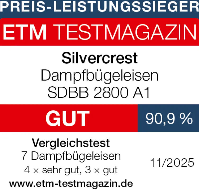 Premium-Dampfbügeleisen