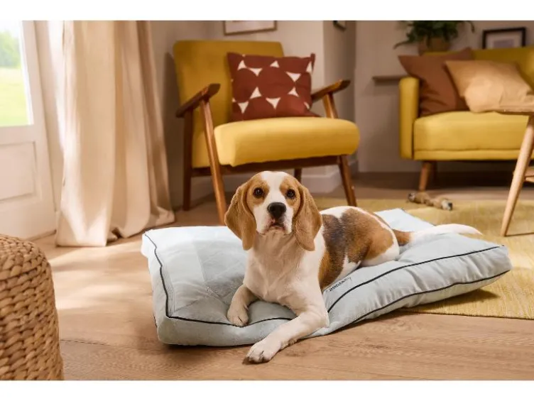 Premium-Hundebett