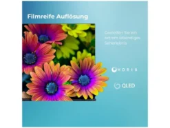 QV1563DDW QLED Smart TV VIDAA 4K Fernseher Dolby Vision HDR, Triple-Tuner