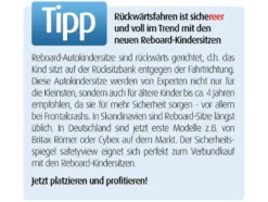 Reer Safety View Sicherheitsspiegel
