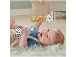 Rumba Rasseln / Farbring Pyramide / Babys erste Bausteine