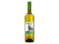 Sauvignon Blanc Western Cape Südafrika trocken, Weißwein 2025