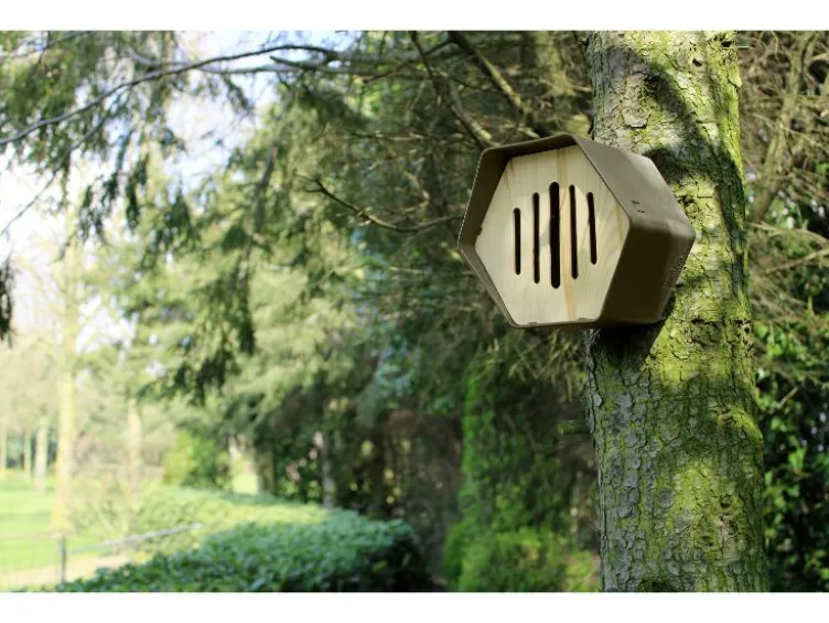 Schmetterlingshotel »Hive«