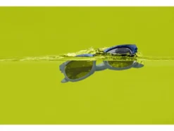 Schwimmende Kleinkinder Sonnenbrille