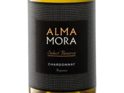 Select Reserve Chardonnay Argentinien trocken, Weißwein 2024