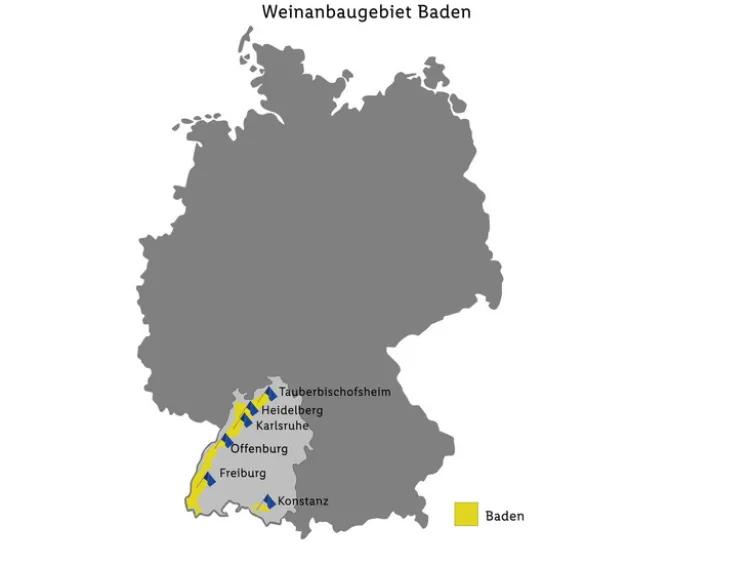 Spätburgunder Baden QbA trocken, Rotwein 2023