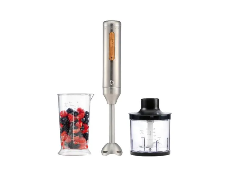 Stabmixer-Set