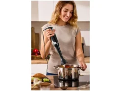 Stabmixer »SSM 350 D1«