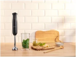 Stabmixer »SSMR 600 A1«