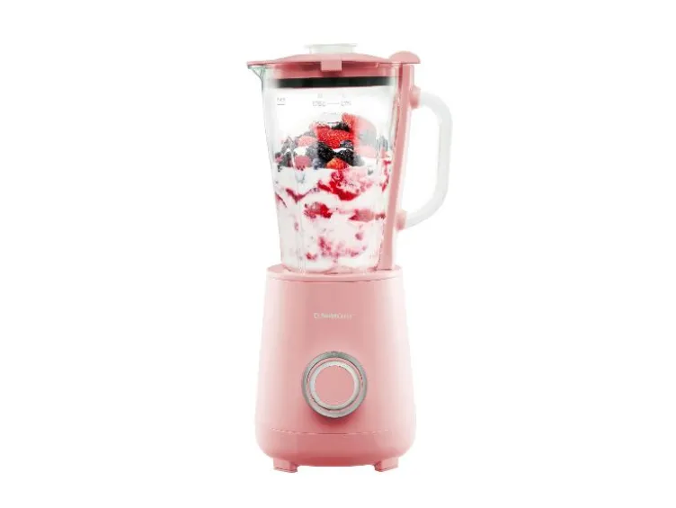 Standmixer »SSMC 600 B1«