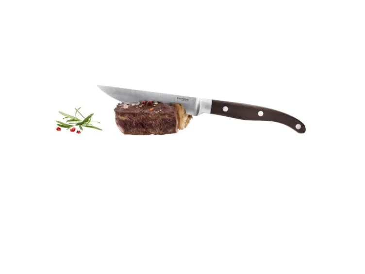 Steakmesser-Set
