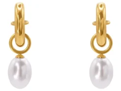 Steel-Art Ohrringe in elegantem Design