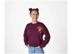 Sweatpullover