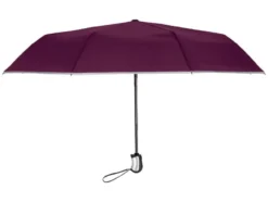 Taschenschirm