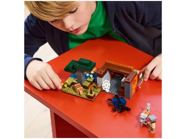 21269 The Armadillo Mine Expedition