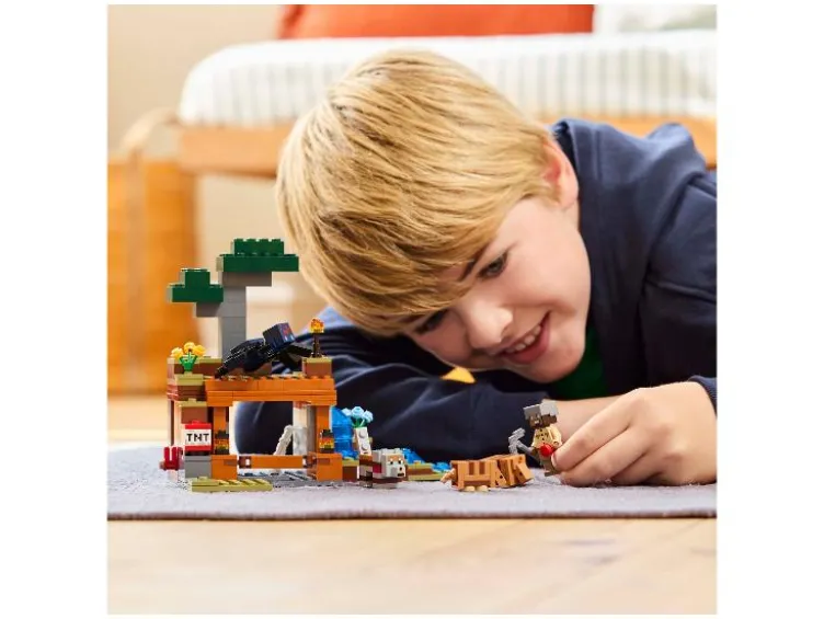 21269 The Armadillo Mine Expedition