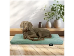 Tierkissen »Ennie«, waschbar