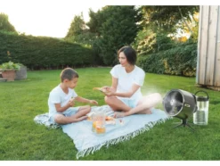 Tischventilator FlexBreeze Pro Mist »FA300EU«