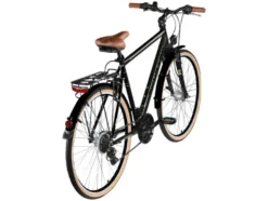 Trekkingrad »T700«, 28 Zoll