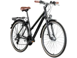 Trekkingrad »T700«, 28 Zoll