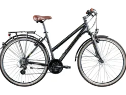 Trekkingrad »T700«, 28 Zoll