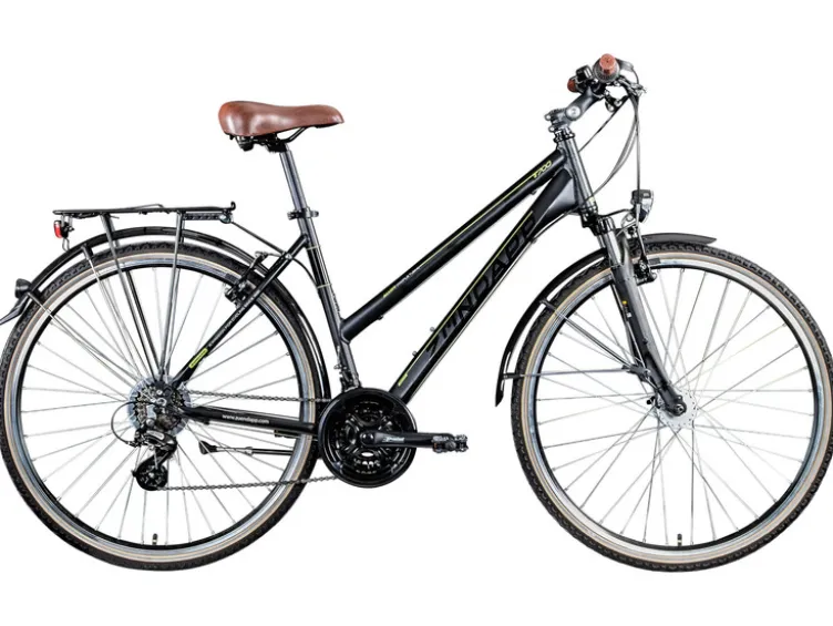 Trekkingrad »T700«, 28 Zoll