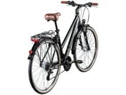 Trekkingrad »T700«, 28 Zoll