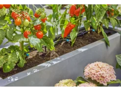 Tropfbewässerung Set »Micro-Drip-System«, wassersparend