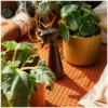 Urban Plant CarePflanzensprüher, 300 ml