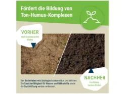 Urgesteinsmehl »Diabas«