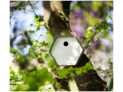 Vogelhäuschen »Hive 1«